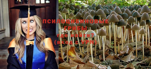 МДПВ Балахна