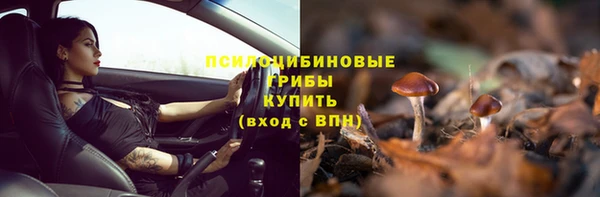 стафф Беломорск