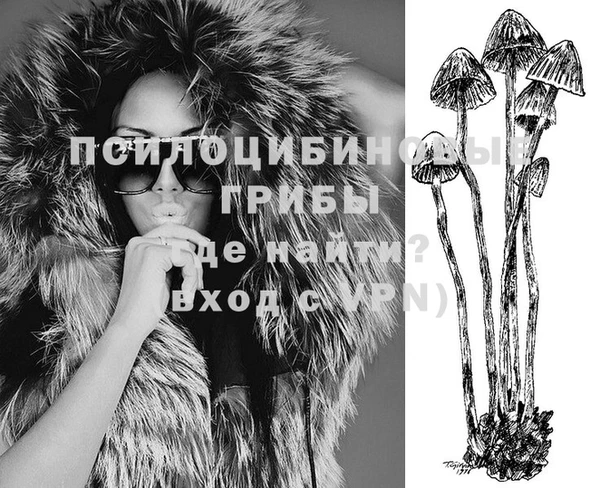 стафф Беломорск